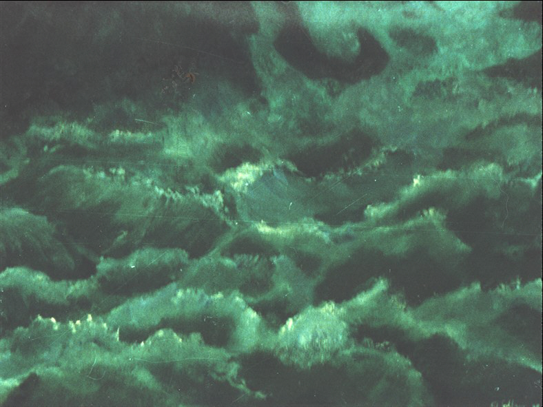 092.jpg (202151 Byte)