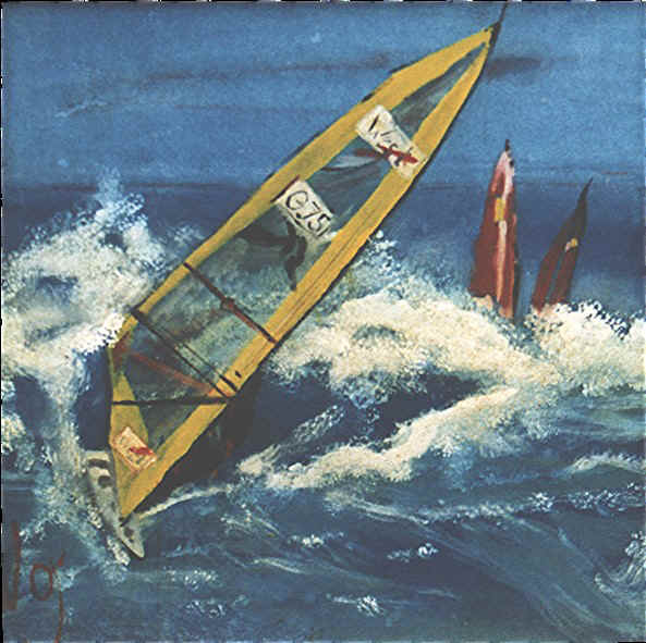 607surferII.jpg (122743 Byte)